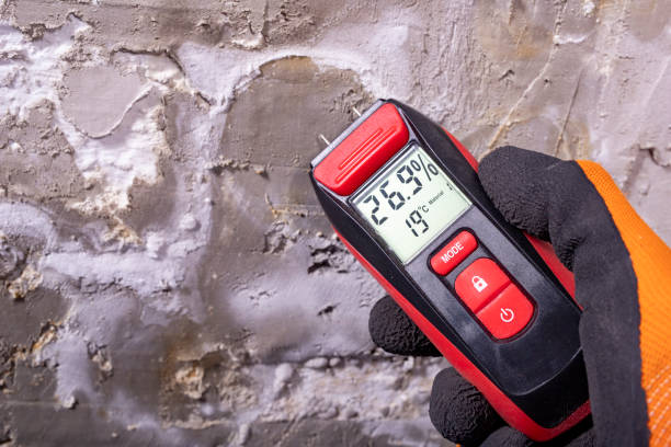 Best Mold Testing and Inspection Services in Munroe Falls, OH