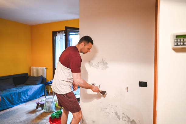 Best Basement Mold Remediation in Munroe Falls, OH